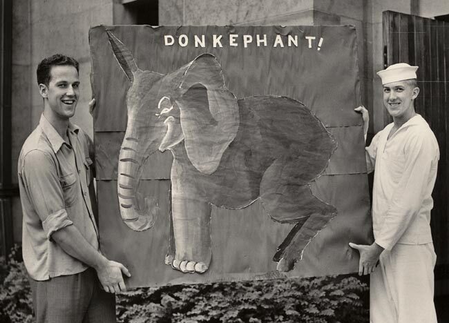 Donkephant.com